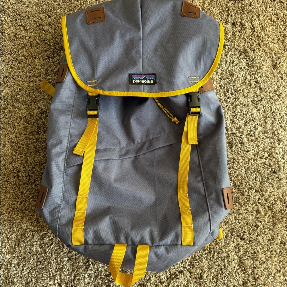 Patagonia Blue and Yellow Men's Backpack